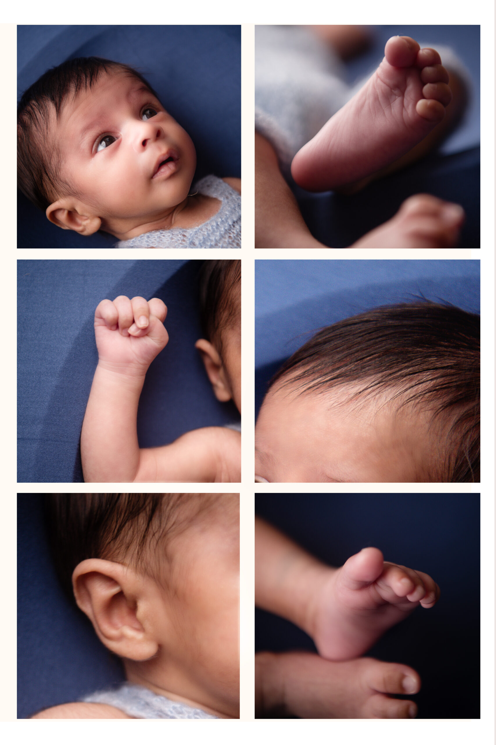 Grid newborn details copy